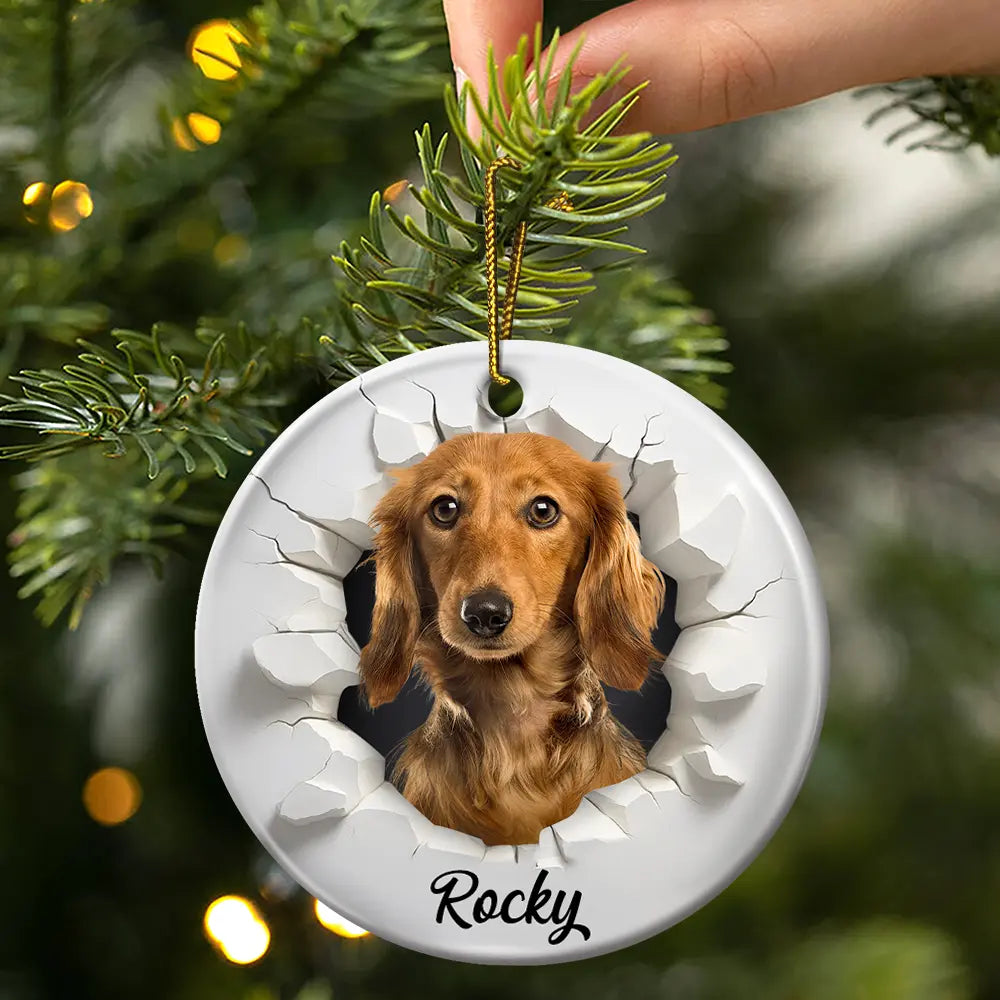 Christmas, Happy, Pet Lovers, Dog Lovers, Cat Lovers - Custom Photo 3D Effect Snow Funny Dog Cat Pet - Personalized Circle Ceramic Ornament