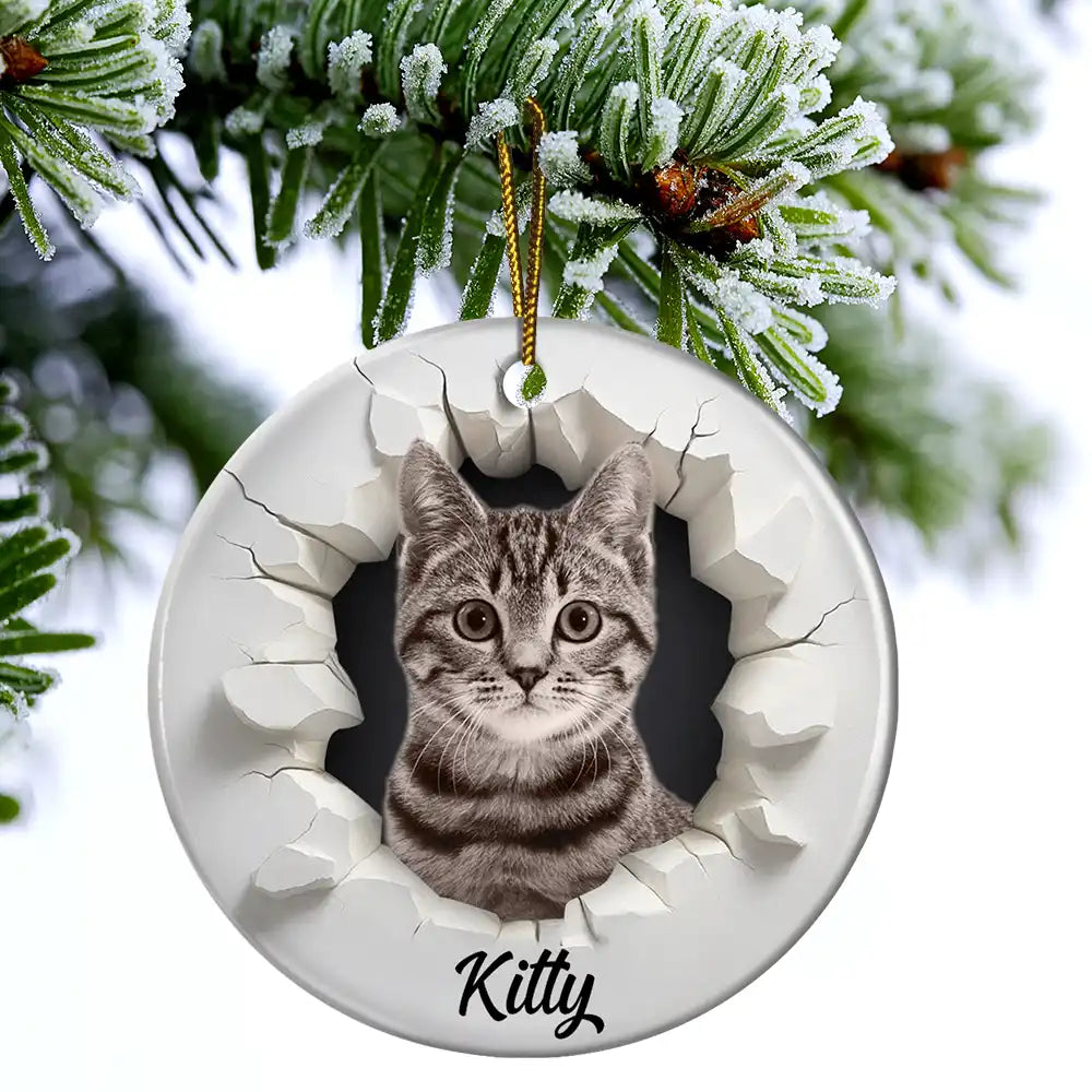 Christmas, Happy, Pet Lovers, Dog Lovers, Cat Lovers - Custom Photo 3D Effect Snow Funny Dog Cat Pet - Personalized Circle Ceramic Ornament