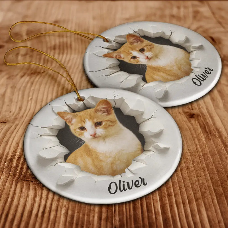 Christmas, Happy, Pet Lovers, Dog Lovers, Cat Lovers - Custom Photo 3D Effect Snow Funny Dog Cat Pet - Personalized Circle Ceramic Ornament