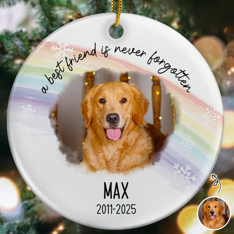 Pet Lovers,Pet Mom,Pet Dad,Pet Couple,Dog Lovers,Dog Mom,Dog Dad,Dog Couple,Cat Lovers,Cat Mom,Cat Dad,Cat Couple,Memorial,Sad,Christmas - Custom Photo A Best Friend Is Never Forgotten - Personalized Circle Ceramic Ornament