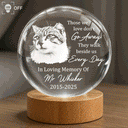 Memorial,Family,Parents,Gift For Grandparents,Sad - Custom Photo Always And Forever In Our Hearts - Personalized Crystal Globe Lamp