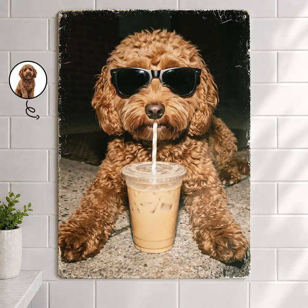 Custom Photo,Art Design,Pet Lovers,Humorous,Photo - Cool Street Pet - Custom Photo Cool Street Pet Portrait - Personalized Classic Metal Signs