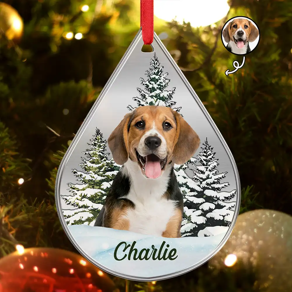 Custom Photo Dog Cat Face Pet Lover Memorial - Personalized Metal Ornament