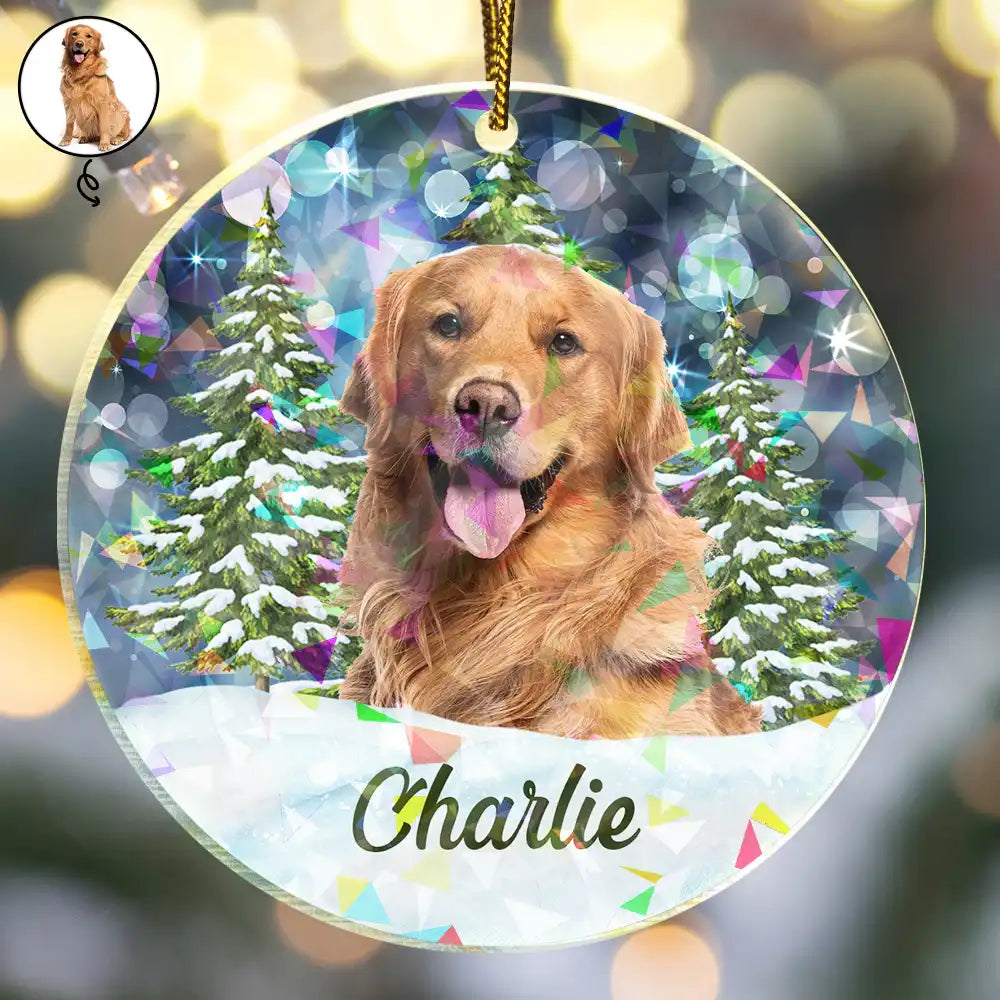 Custom Photo Dog Cat Pet Face - Personalized Holographic Acrylic Ornament