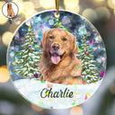 Dog Lovers,Pet Lovers,Happy,Cat Lovers,Christmas - Custom Photo Dog Cat Pet Face - Personalized Holographic Acrylic Ornament
