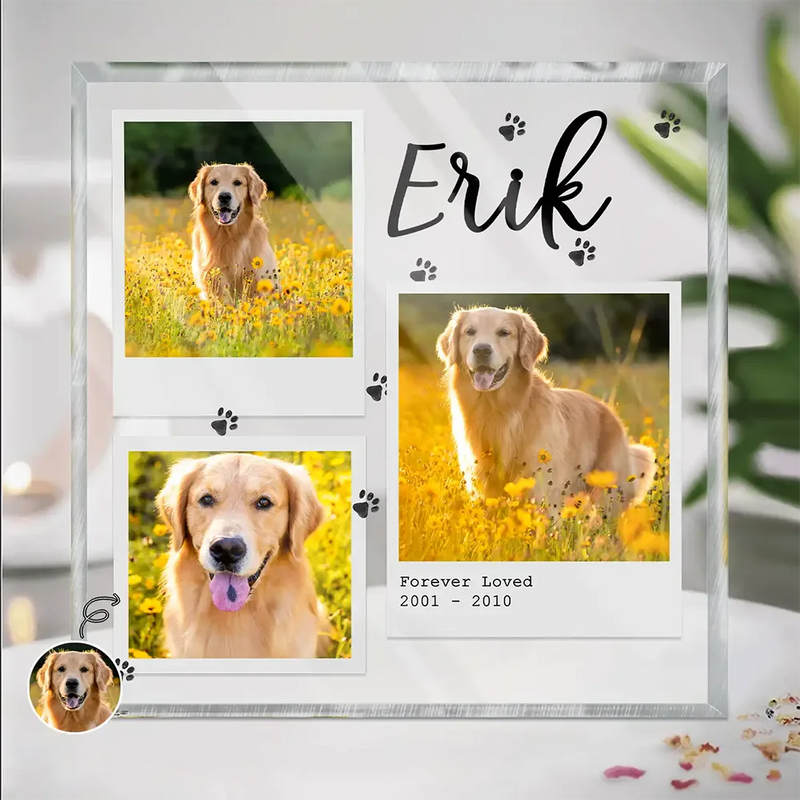 Custom Photo, Memorial ,Pet Lovers, Dog Lovers, Cat Lovers, Sad - Custom Photo Dog Cat Pet Memorial - Personalized Square Shaped Acrylic Plaque