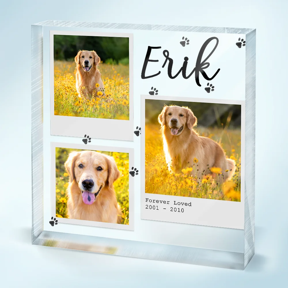 Custom Photo, Memorial ,Pet Lovers, Dog Lovers, Cat Lovers, Sad - Custom Photo Dog Cat Pet Memorial - Personalized Square Shaped Acrylic Plaque