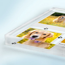 Custom Photo, Memorial ,Pet Lovers, Dog Lovers, Cat Lovers, Sad - Custom Photo Dog Cat Pet Memorial - Personalized Square Shaped Acrylic Plaque