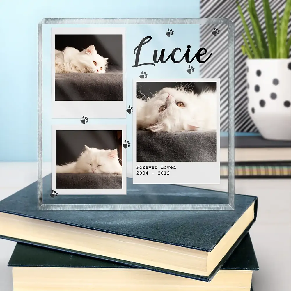 Custom Photo, Memorial ,Pet Lovers, Dog Lovers, Cat Lovers, Sad - Custom Photo Dog Cat Pet Memorial - Personalized Square Shaped Acrylic Plaque