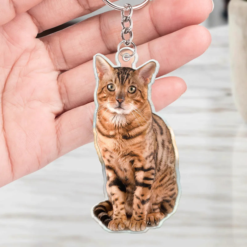 Pet Lovers, Dog Lovers, Cat Lovers - Custom Photo Every Day Is Brighter With My Furry Friend By My Side - Personalized Cutout Acrylic Keychain