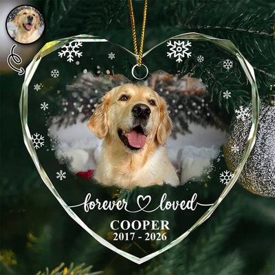 Christmas ornament curated choices
