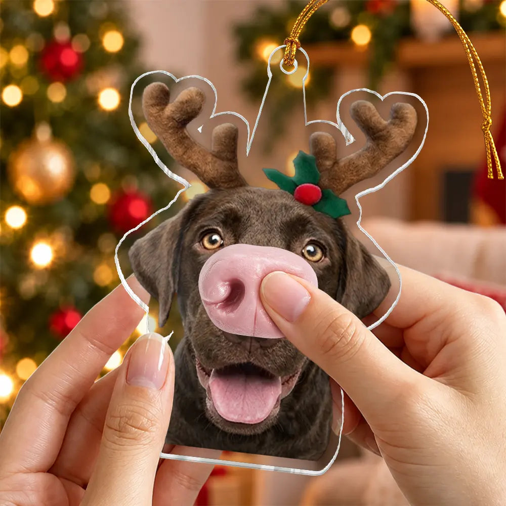 Art Design, Christmas, Humorous, Dog Lovers, Pet Lovers, Photo - Squishy Dog Nose - Custom Photo Funny Dog Nose Gift For Dog Lovers - Personalized Squishy Acrylic Ornament