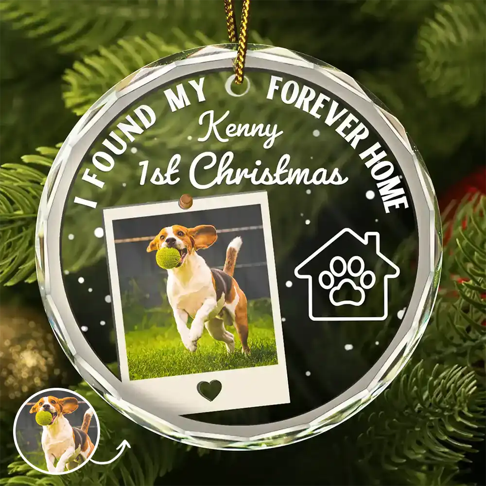 Custom Photo I Found My Forever Home - Personalized Circle Glass Ornament