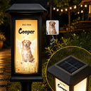 Christmas,Custom Photo,Sympathetic,Pet Lovers,Memorial,Remove BG Photo,Icon - Custom Photo Memorial Pet Flowers Rainbow Angel Wings - Personalized Solar Garden Light
