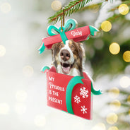 Pet Lovers, Cat Lovers, Dog Lovers, Funny, Christmas - Custom Photo My Presence Is The Present - Personalized Custom Shaped Acrylic Ornament