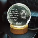 Sad, Memorial, Pet Lovers - Custom Photo Once By My Side Forever In My Heart - Personalized Crystal Globe Lamp