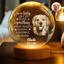 Sad, Memorial, Pet Lovers - Custom Photo Once By My Side Forever In My Heart - Personalized Crystal Globe Lamp