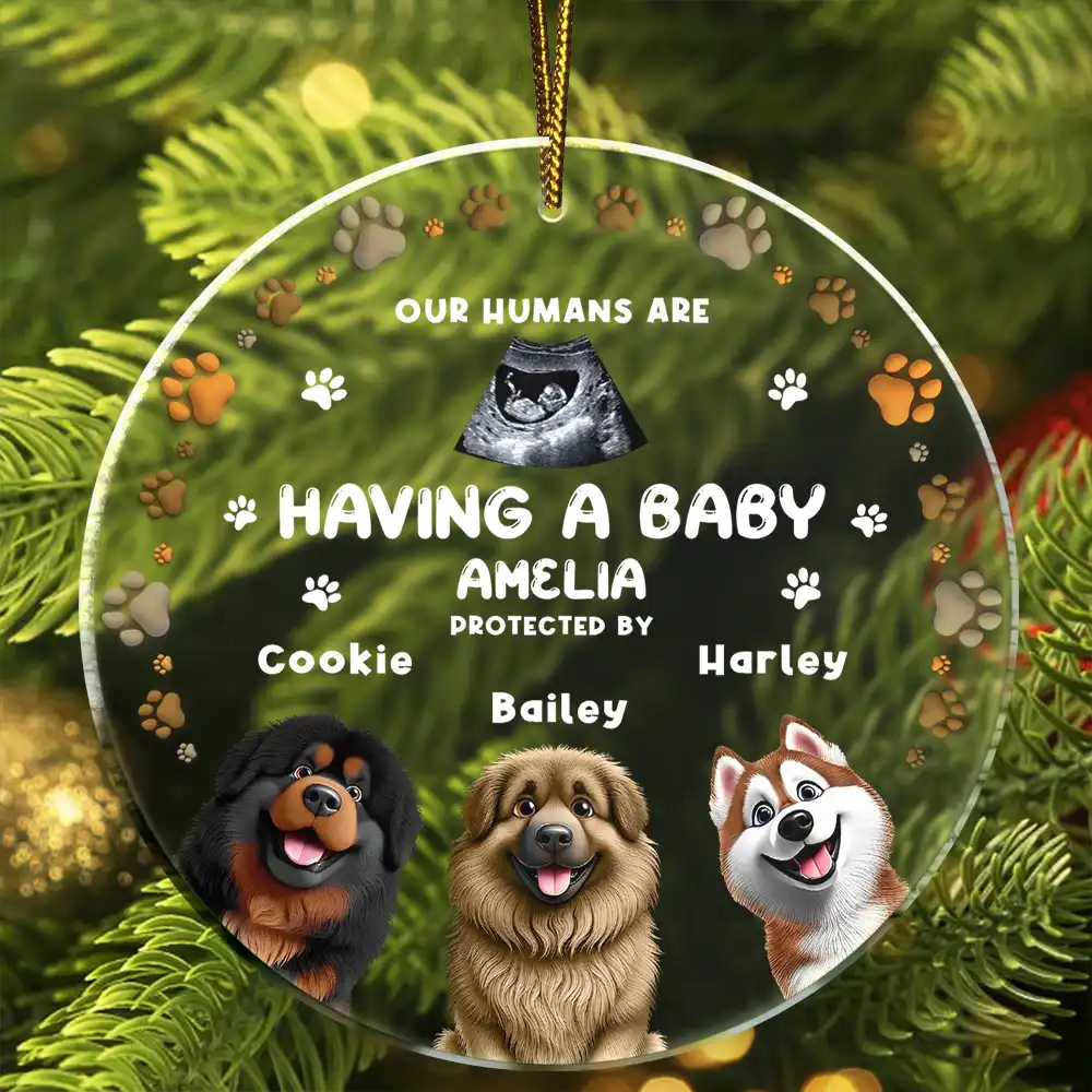 Custom Photo Our Humans Are Having A Baby Pregnancy Announcement Dog 3D Effect - Personalized Circle Acrylic Ornament