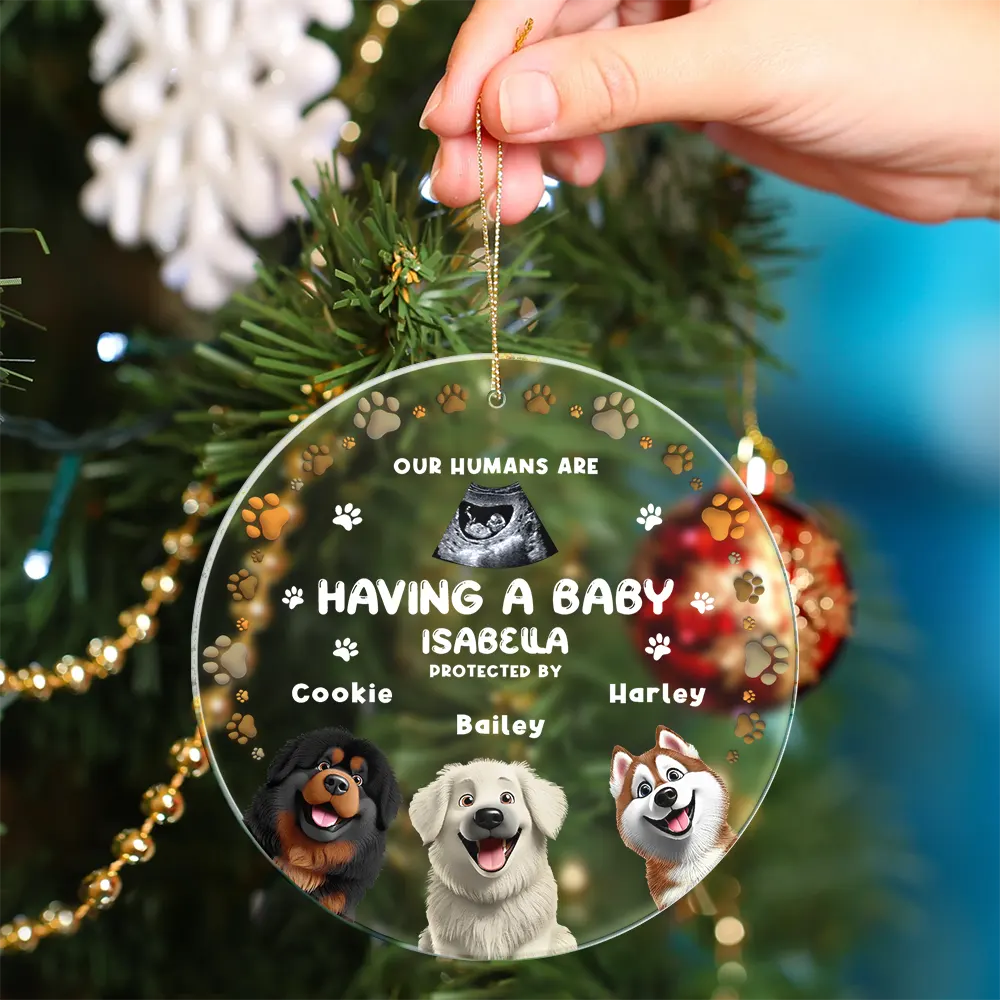 Gift For Wife,Gift For Husband,Gift For Men,Gift For Women,Gift For Couples,Christmas,Happy,New baby,Dog Lovers,Dog Mom,Dog Dad,Dog Couple - Custom Photo Our Humans Are Having A Baby Pregnancy Announcement Dog 3D Effect - Personalized Circle Acrylic Ornament