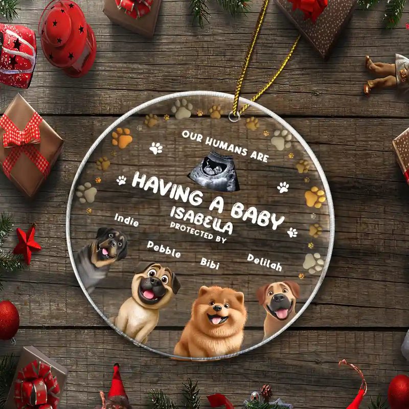 Gift For Wife,Gift For Husband,Gift For Men,Gift For Women,Gift For Couples,Christmas,Happy,New baby,Dog Lovers,Dog Mom,Dog Dad,Dog Couple - Custom Photo Our Humans Are Having A Baby Pregnancy Announcement Dog 3D Effect - Personalized Circle Acrylic Ornament