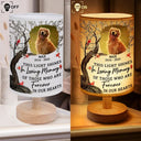 Sad, Memorial, Gift For Grandparents, Gift For Sibling, Family, Parents - Custom Photo This Light Shines In Loving Memory - Personalized Fabric Lamp