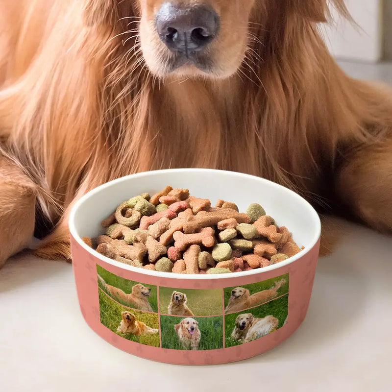 Pet Lovers,Custom Photo,Funny,Dog Lovers,Dog Mom,Dog Dad - Custom Photo To The World - Personalized Pet Bowl