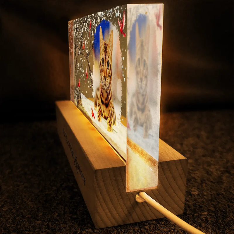 Sad,Memorial,Gift For Grandparents,Gift For Sibling,Family,Parents,Pet Lovers - Custom Photo When You Miss Me Have No Fear Memorial - Personalized Rectangle LED Light