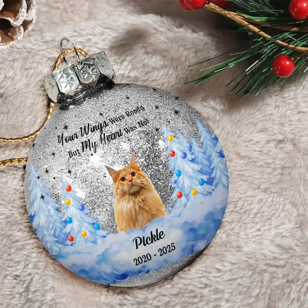 Dog Lovers,Pet Lovers,Christmas,Cat Lovers,Memorial,Sad - Custom Photo You Are My Favorite Hello And Hardest Goodbye - Personalized Ball Ornament