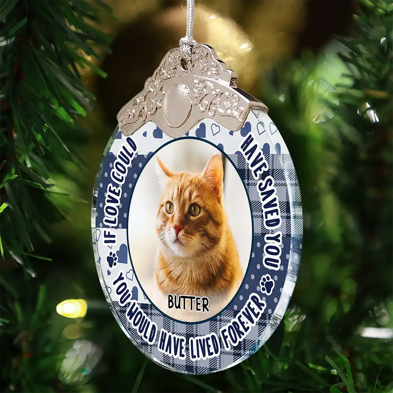 Sad, Christmas, Memorial, Dog Lovers -Custom Photo You Were Favorite Hello Memorial Pet - Personalized Glass Ornament With Silver Cap