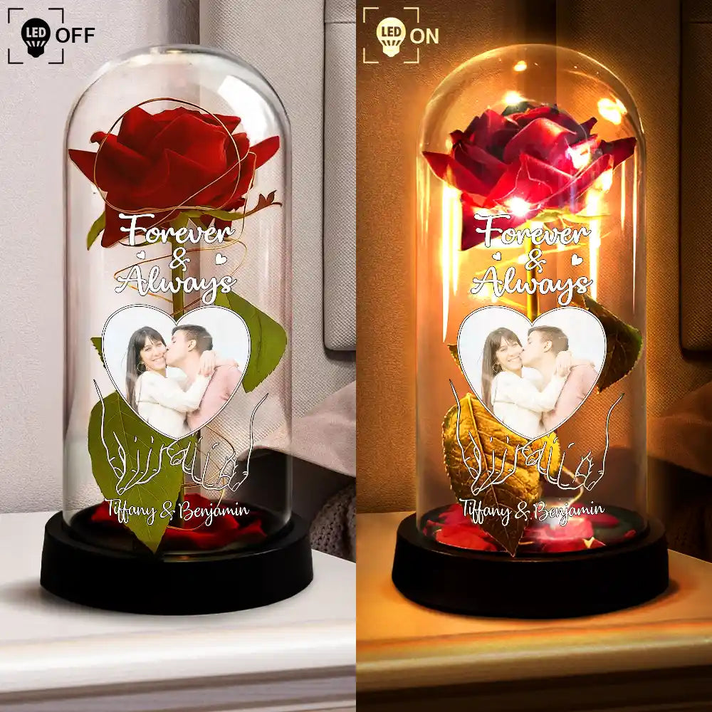 Gift For Couples, Gift For Husband, Gift For Wife, Gift For Boyfriend, Gift For Girlfriend, Love, Custom Photo - Custom Photo You & Me We Got This - Personalized Everlasting Rose Dome Lamp