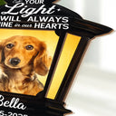 Gift For Yourself,Gift For Women,Gift For Men,Family,Pet Lovers,Dog Lovers,Cat Lovers,Memorial,Sad - Custom Photo Your Light Will Always Shine - Personalized Plug-in Night Light