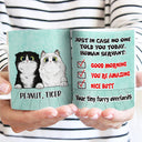 In Case No One Told You - Gift For Cat Lovers - Personalized Custom White Edge-to-Edge Mug