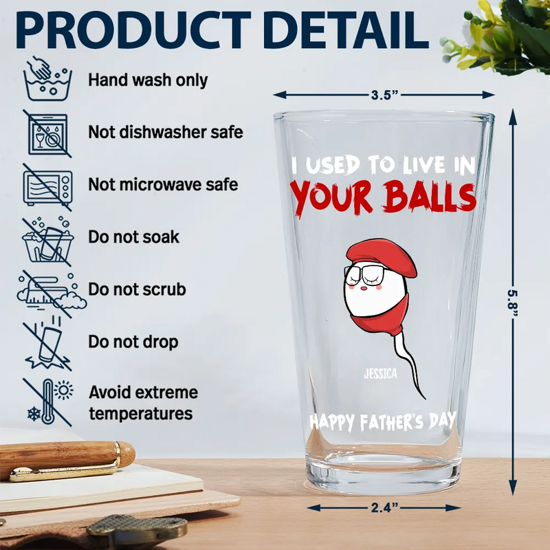 We Used To Live In Your Ball - Personalized Beer Glass