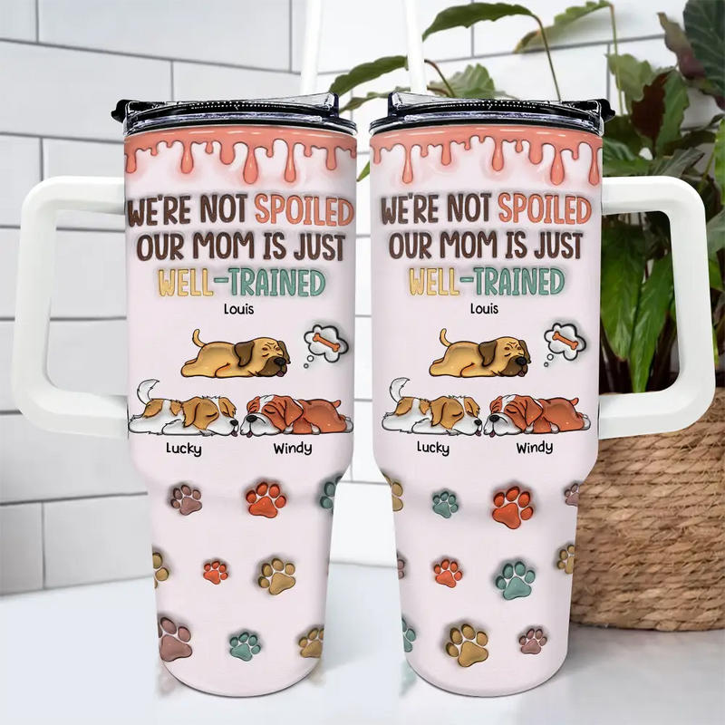 My Mom Is Just Well-Trained - 3D Inflated Effect Printed Cup, Personalized 40oz Tumbler With Straw