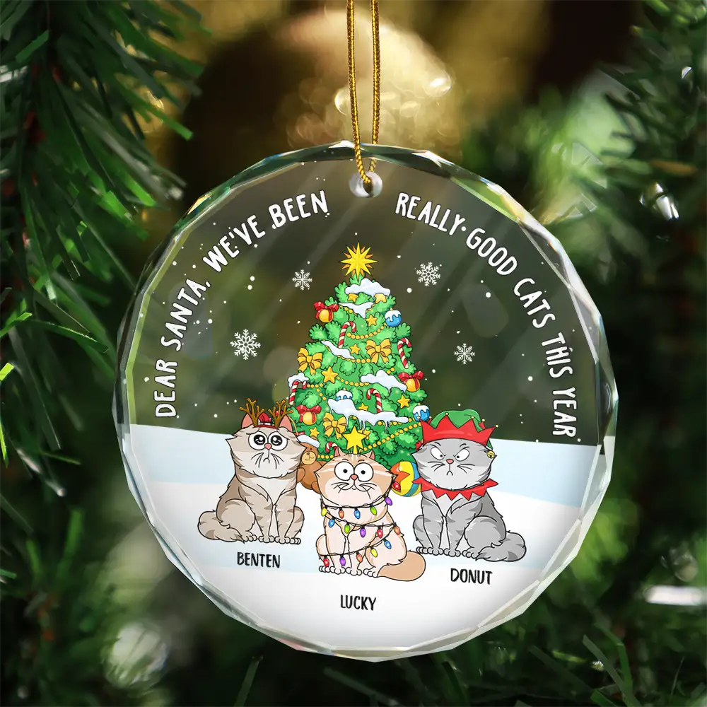 Décoration de Noël amusante avec des chats sur la liste des vilains – Décoration en verre ronde personnalisée 