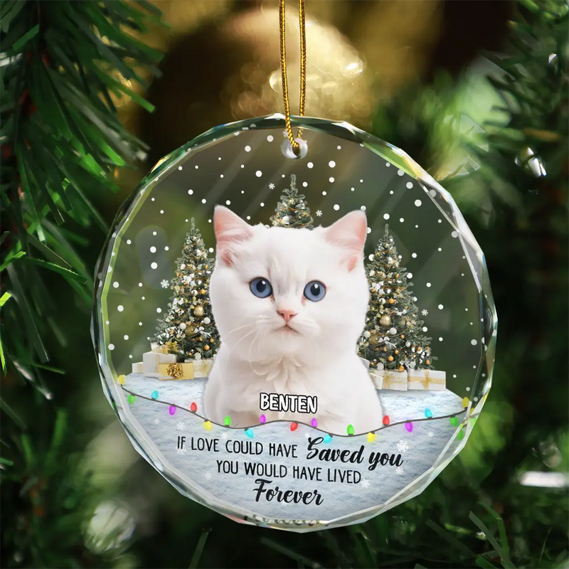 Custom Photo,Christmas,Pet Lovers,Memorial,Sad - Custom Photo You Left Paw Prints Pet Memorial - Personalized Circle Glass Ornament