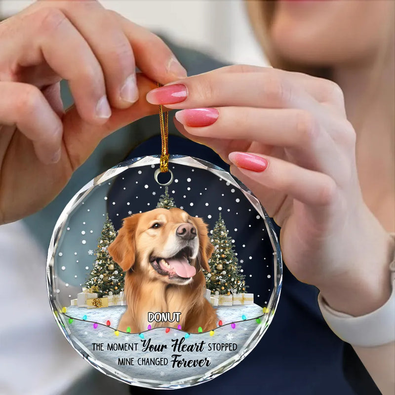 Custom Photo,Christmas,Pet Lovers,Memorial,Sad - Custom Photo You Left Paw Prints Pet Memorial - Personalized Circle Glass Ornament