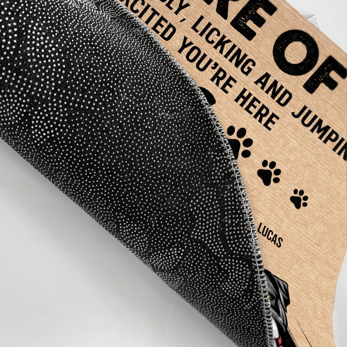 Pet Lovers Beware Of Dogs Cats - Gift For Dog & Cat Lovers - Personalized Custom Doormat