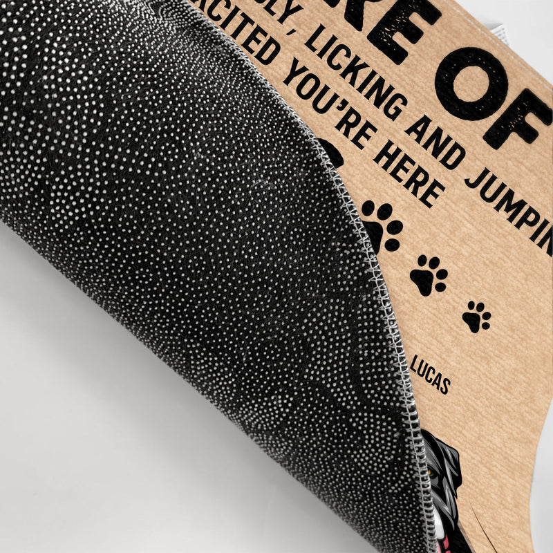 Pet Lovers Beware Of Dogs Cats - Gift For Dog & Cat Lovers - Personalized Custom Doormat