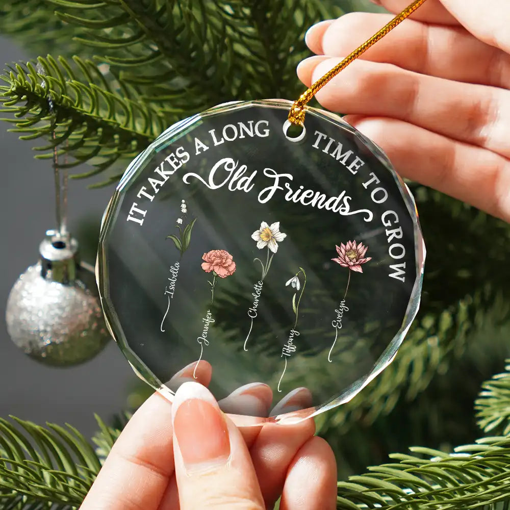 Gift For Bestie - Birth Flower Grow An Old Friend - Personalized Glass Ornament