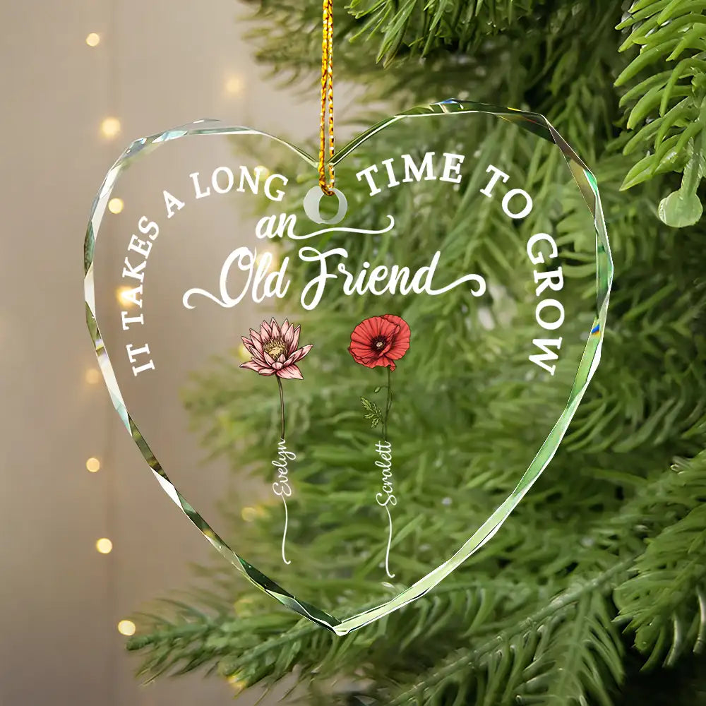 Gift For Bestie - Birth Flower Grow An Old Friend - Personalized Glass Ornament