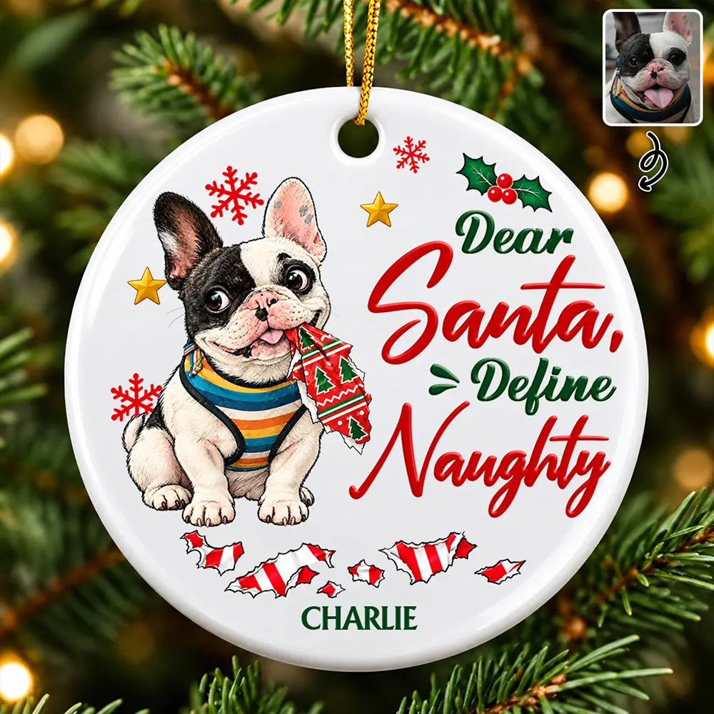 Funny Christmas Gift For Dog Lovers - Personalized Custom Photo Dear Santa Define Naughty Circle Ceramic Ornament