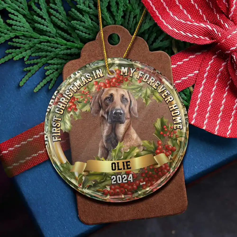 Custom Photo In My Forever Home - Personalized Circle Glass Ornament