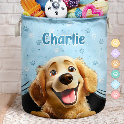 Toy Organizer