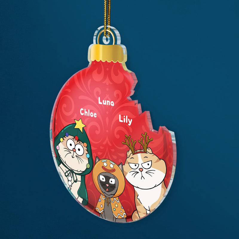 Broken Ornament Funny Cat - Christmas For Cat Lovers - Personalized Custom Shaped Acrylic Ornament
