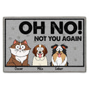 Oh No Not You Again - Birthday, Funny Gift, Decor Item For Dog Lover, Cat Lover, Pet Owner - Personalized Doormat