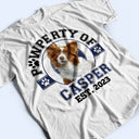 Custom Photo Pawperty Of - Gift For Dog Lovers, Cat Lovers - Personalized Sweatshirt