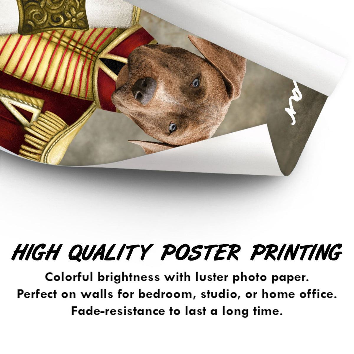 Custom Photo Funny Pet Portrait - Gift For Pet Lovers - Personalized Poster