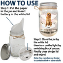 Memorial, Pet Lovers - Custom Photo Your Light Will Always Shine In My Heart - Personalized Mason Jar Light