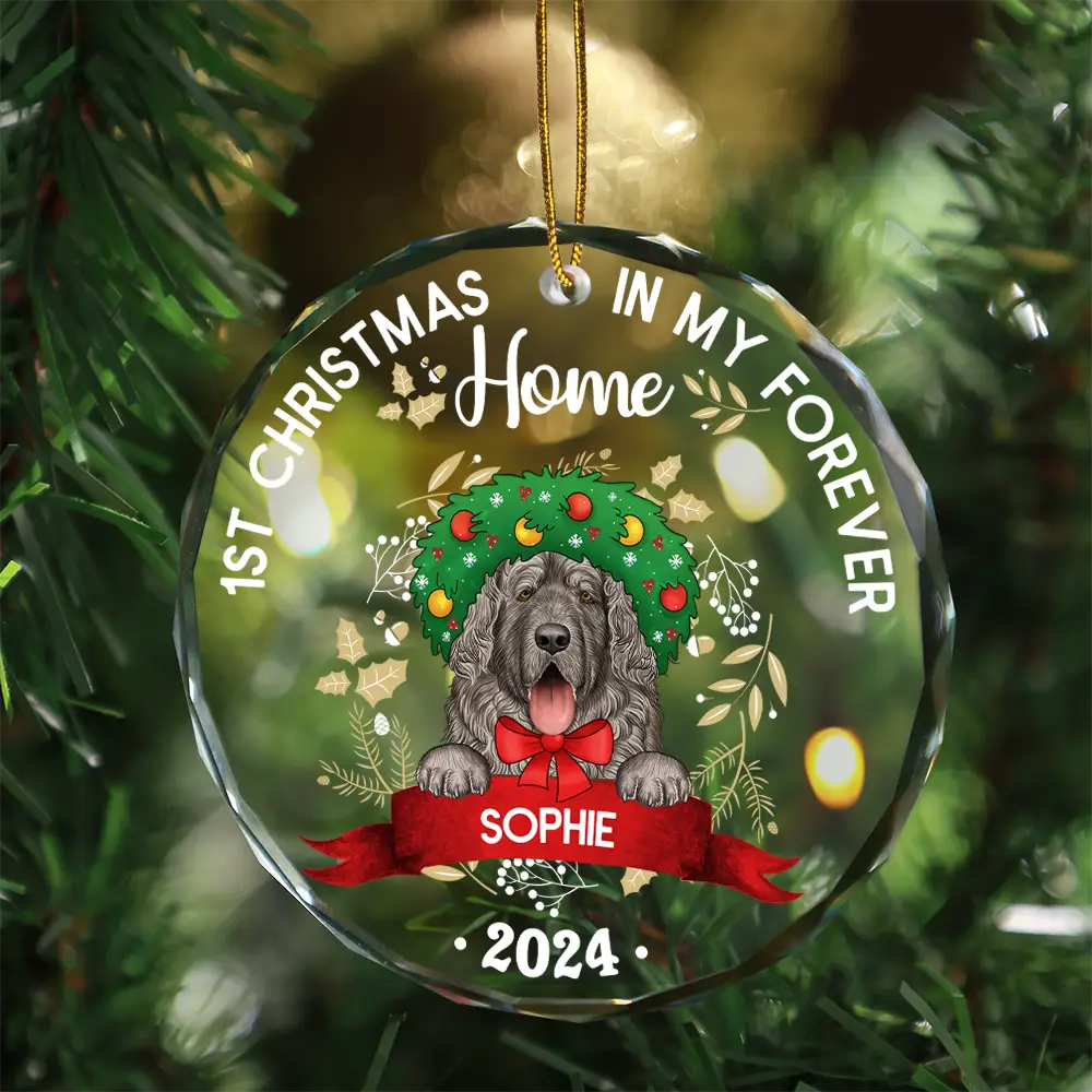 1st Christmas In My Forever Home - Personalized Circle Glass Ornament